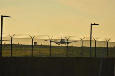 DSC_5734 (Large).JPG